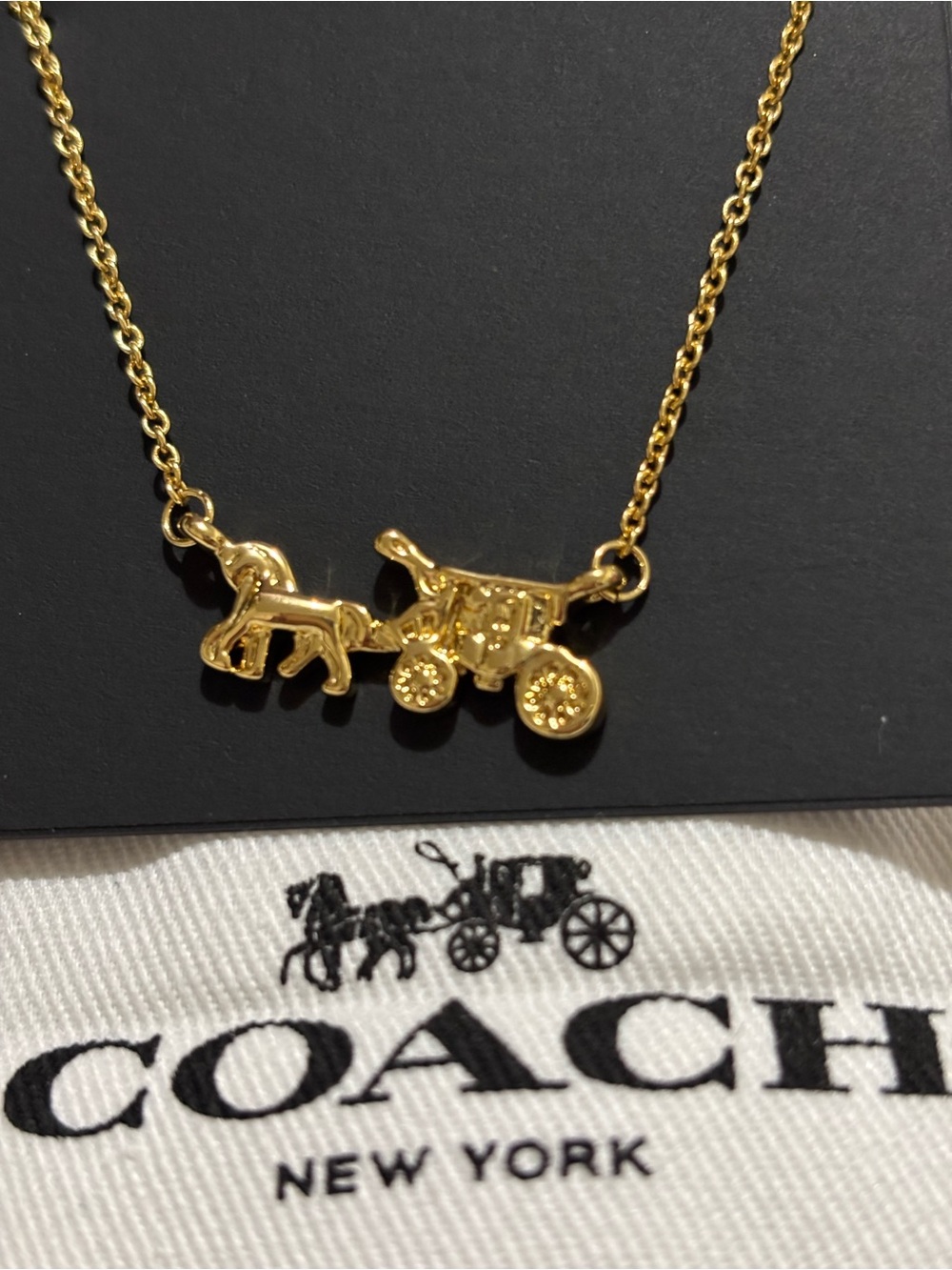 NWT Beautiful Coach Gold Toned Horse & Carriage Pendant Necklace